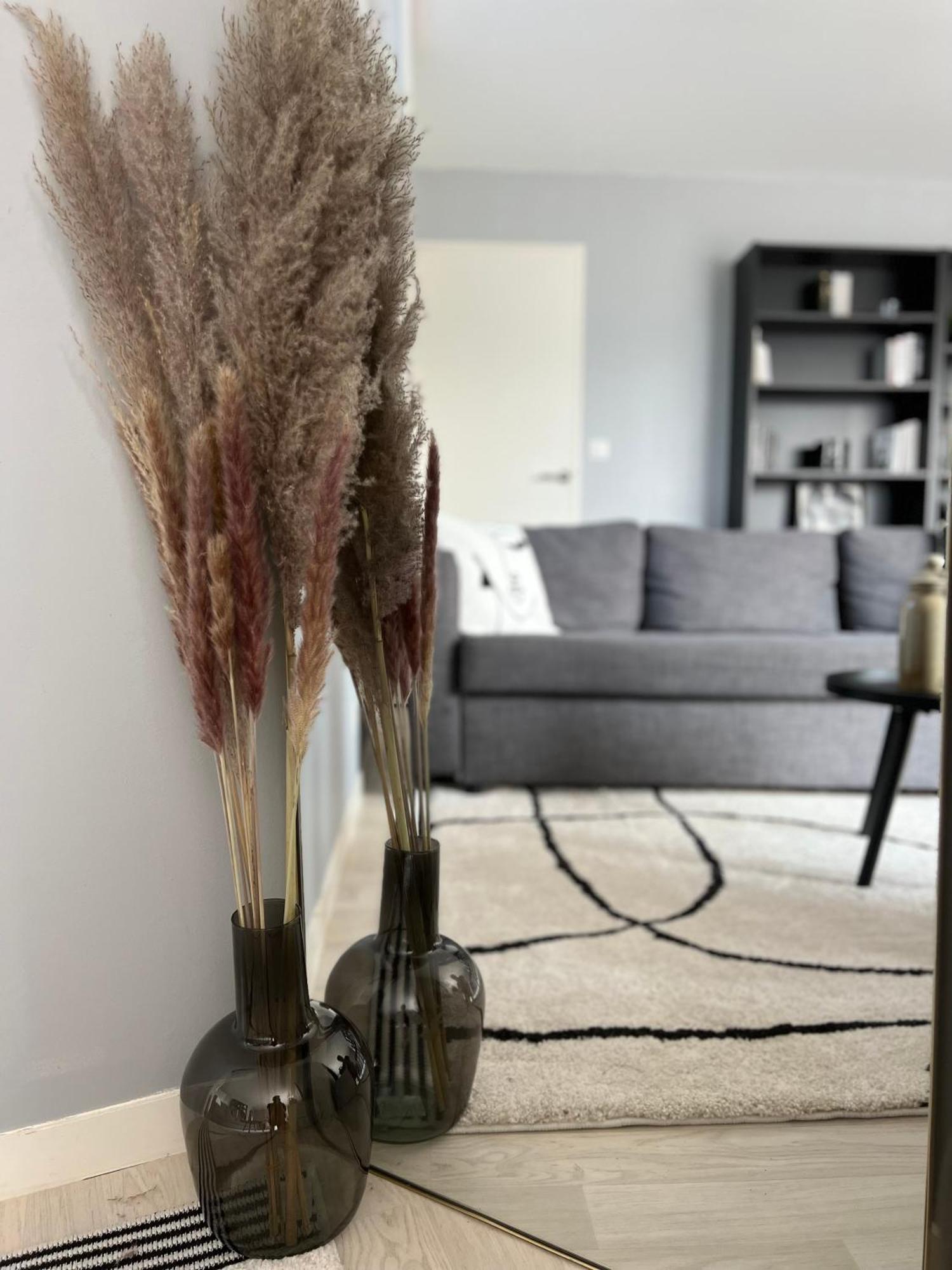 Le Berthe Morisot, Ouest, Terrasse Appartement